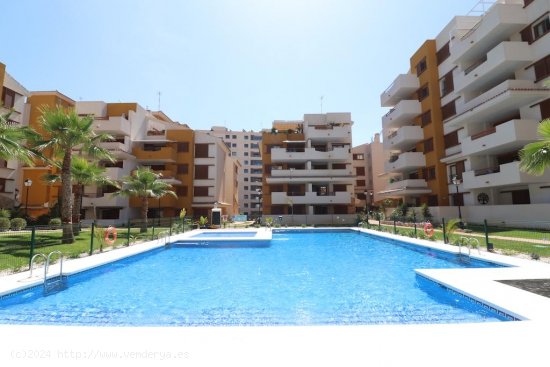  Apartamento en venta en Torrevieja (Alicante) 