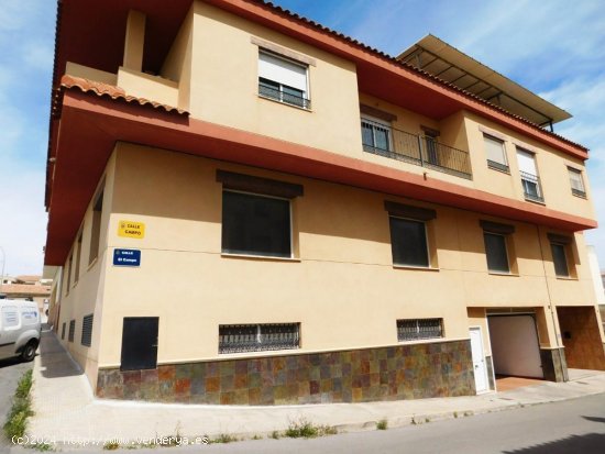 Piso en venta en Orihuela (Alicante)