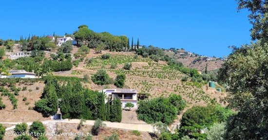 Villa en venta en Cómpeta (Málaga)