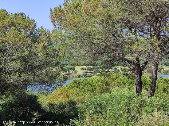 Solar en venta en Sotogrande (Cádiz)