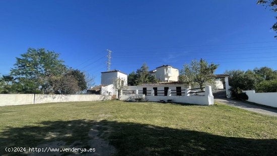  Finca en venta en Estepona (Málaga) 