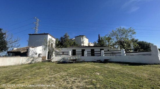 Finca en venta en Estepona (Málaga)