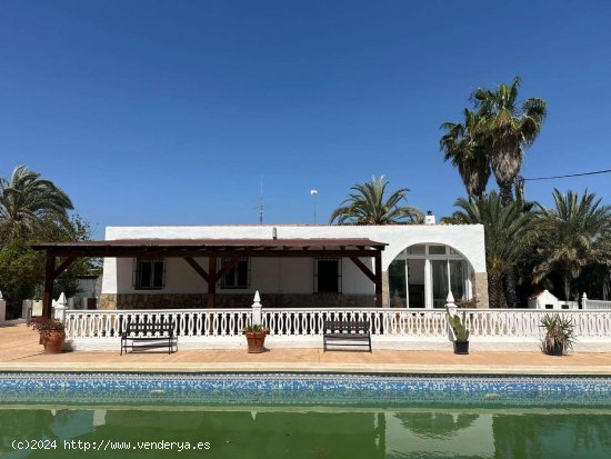 Finca en venta en Elche (Alicante)