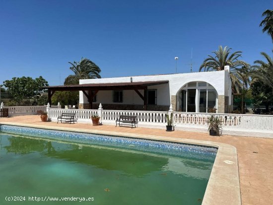 Finca en venta en Elche (Alicante)