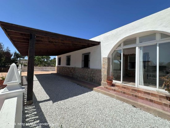 Finca en venta en Elche (Alicante)