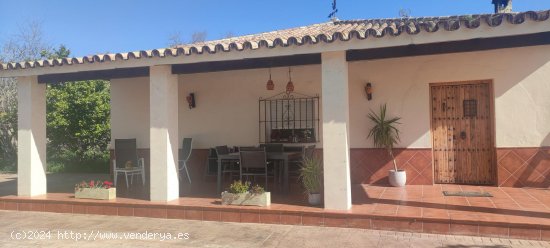  Chalet en venta en Morón de la Frontera (Sevilla) 