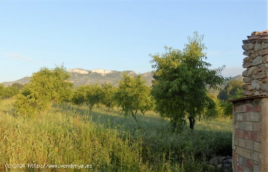 Finca en venta en Miravet (Tarragona)