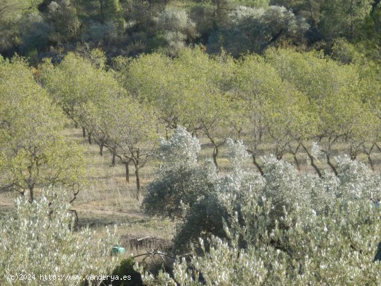 Finca en venta en Miravet (Tarragona)