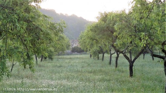 Finca en venta en Miravet (Tarragona)