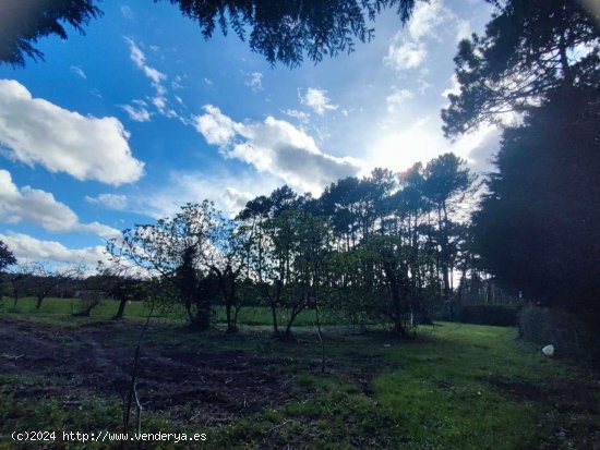 Parcela en venta en El Franco (Asturias)