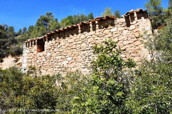 Finca en venta en Arens de Lledó (Teruel)