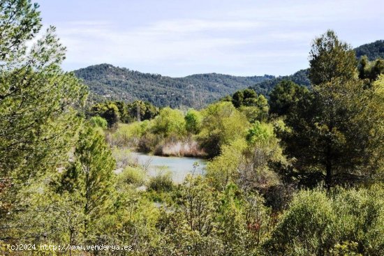 Finca en venta en Arens de Lledó (Teruel)