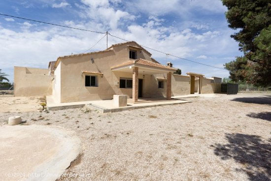  Villa en venta en Elche (Alicante) 