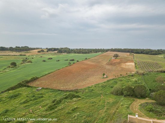 Finca en venta en Niebla (Huelva)