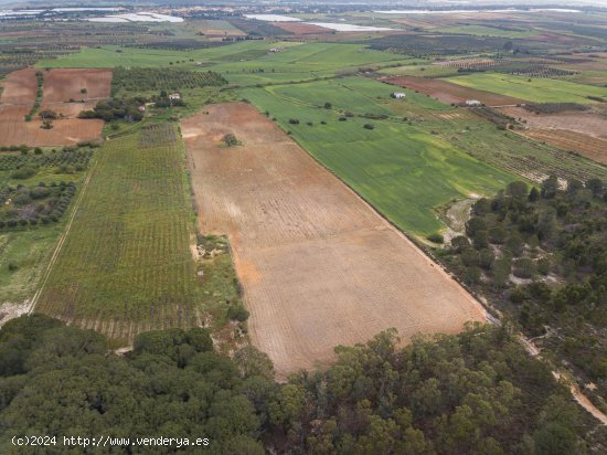 Finca en venta en Niebla (Huelva)