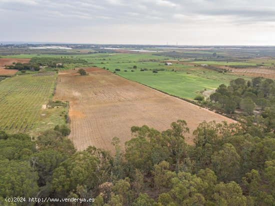 Finca en venta en Niebla (Huelva)