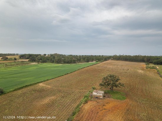 Finca en venta en Niebla (Huelva)