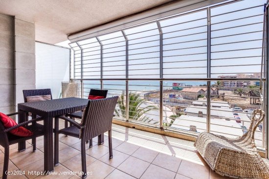 Piso en venta en Torrevieja (Alicante)