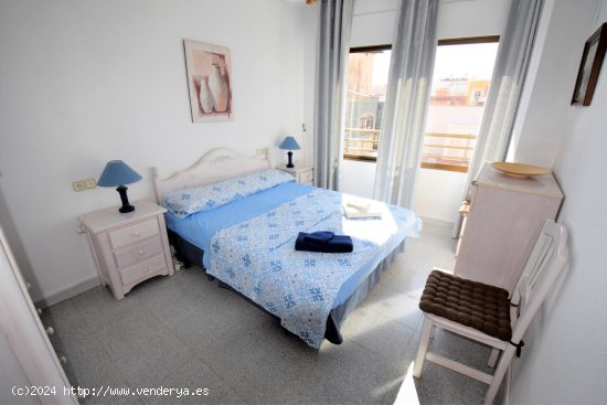  Apartamento en alquiler en Guardamar del Segura (Alicante) 