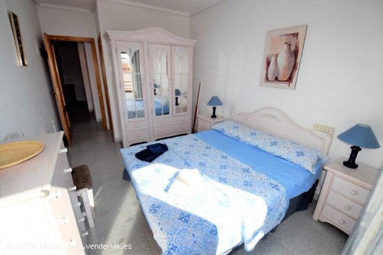 Apartamento en alquiler en Guardamar del Segura (Alicante)