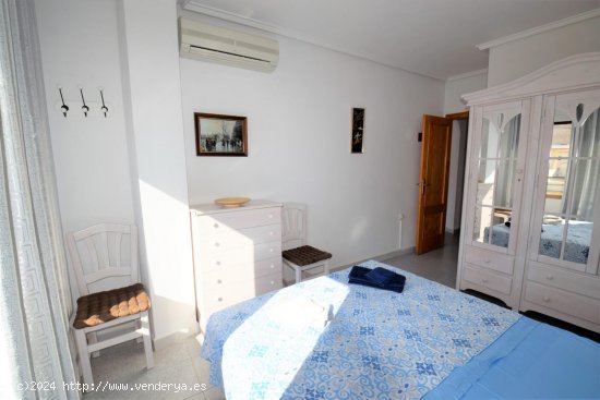 Apartamento en alquiler en Guardamar del Segura (Alicante)