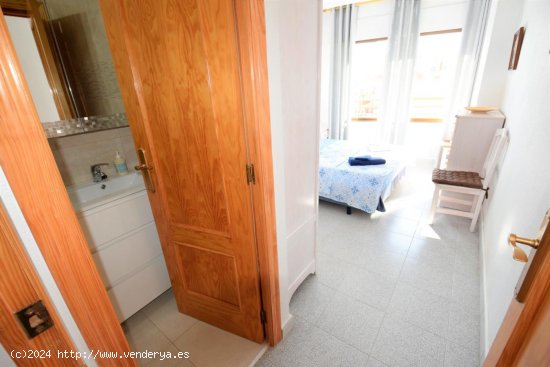 Apartamento en alquiler en Guardamar del Segura (Alicante)