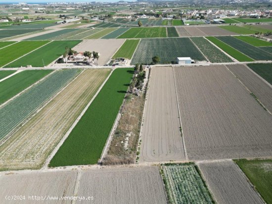 Parcela en venta en San Fulgencio (Alicante)