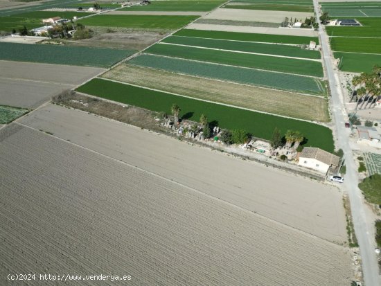 Parcela en venta en San Fulgencio (Alicante)