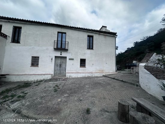 Finca en venta en Cártama (Málaga)