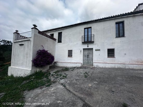 Finca en venta en Cártama (Málaga)