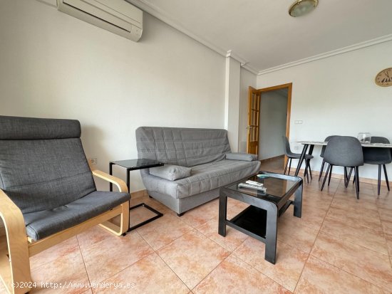  Apartamento en alquiler en Guardamar del Segura (Alicante) 