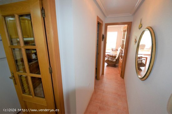 Apartamento en alquiler en Guardamar del Segura (Alicante)