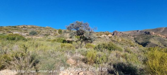 Solar en venta en Bédar (Almería)