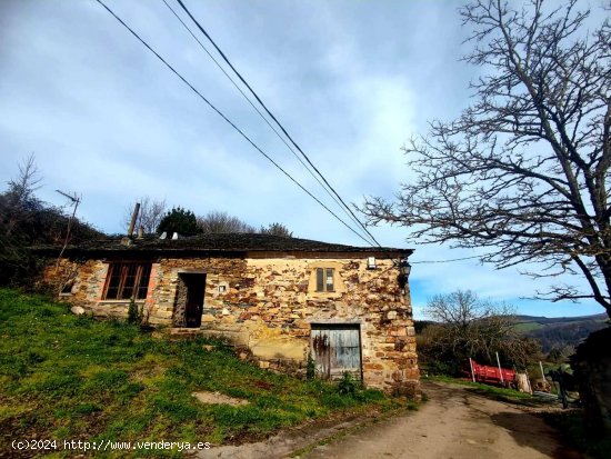  Casa en venta en Santa Eulalia de Oscos (Asturias) 