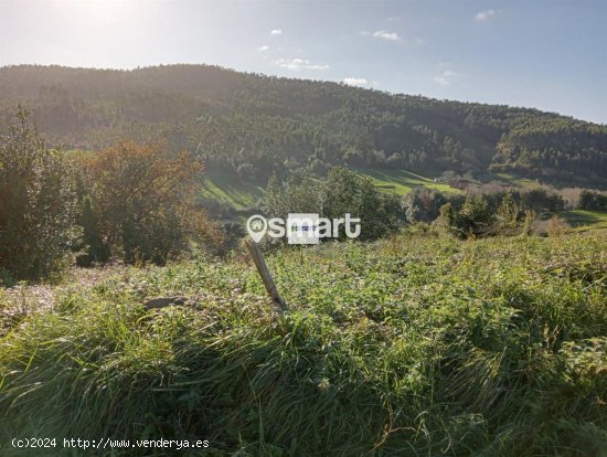 Parcela en venta en Villaviciosa (Asturias)