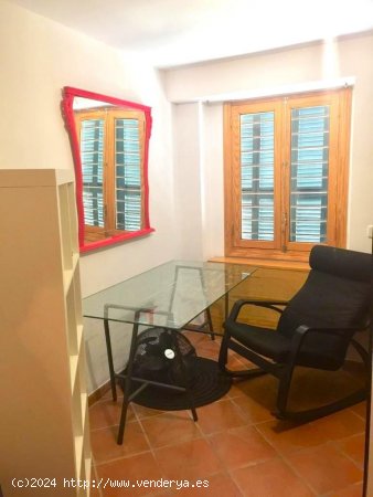 Apartamento en alquiler en Palma de Mallorca (Baleares)