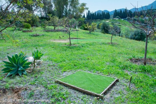 Finca en venta en Alhaurín de la Torre (Málaga)