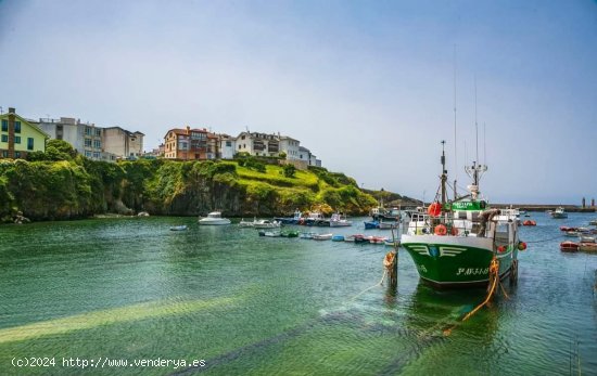 Parcela en venta en Tapia de Casariego (Asturias)