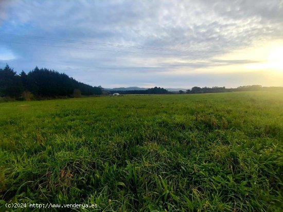 Parcela en venta en Tapia de Casariego (Asturias)