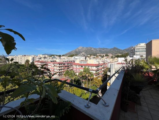 Apartamento en alquiler en Marbella (Málaga)