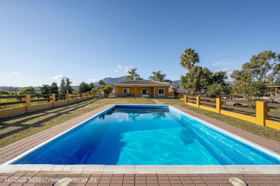 Finca en venta en Estepona (Málaga)