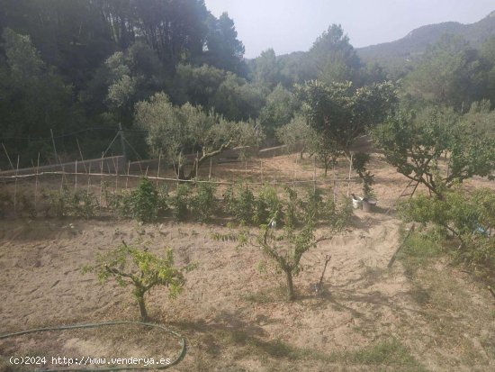 Finca en venta en Vilanova d Escornalbou (Tarragona)