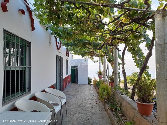  Casa en venta en Vilaflor (Tenerife) 