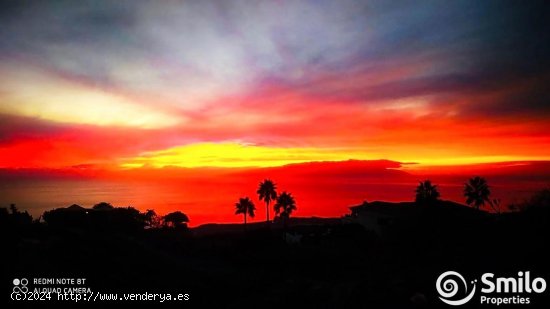 Finca en venta en Adeje (Tenerife)