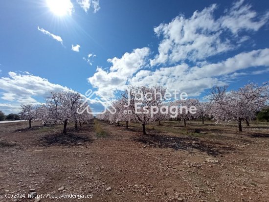 Finca en venta en San Rafael del Río (Castellón)