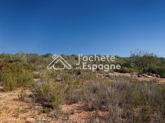 Finca en venta en San Rafael del Río (Castellón)