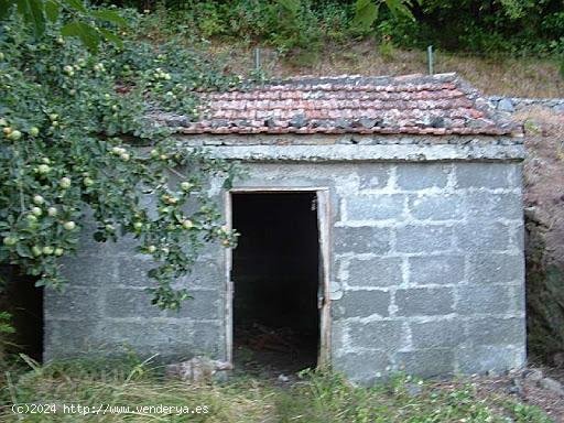 Finca en venta en Hermigua (Tenerife)