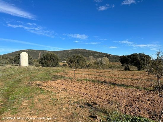 Finca en venta en Toledo (Toledo)