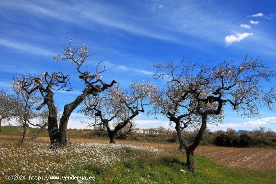 Finca en venta en Tarragona (Tarragona)