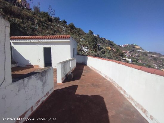 Casa cueva en la Gavia Telde